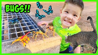 🕷CATCHING BUGS OUTSIDE Caleb amp Mommy GO on a BUG HUNT and Learn about Insects for kids [upl. by Einahpts]