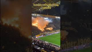 Borussia Dortmund Choreo 💛🖤 „Leuchte auf mein Stern“ borussia borussiadortmund bvb bvb09 [upl. by Niwle]