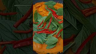 Chicken Thai Red Curry  Panang Curry Recipe with Coconut Milk Chicken Curry Recipe  Thai Food [upl. by Eidualc]