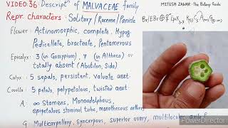 Malvaceae Family  Floral Formula and Floral Diagram of Cotton Family in Hindi and English [upl. by Godfrey]