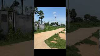 agriculture agriculture farming chemicalsherbicide herbicides spraying villagepaddy rice [upl. by Notle482]