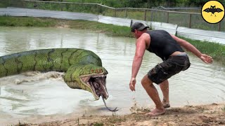 3 Monstruos de Río Brasileños Desconocidos por la Ciencia [upl. by Uolyram280]