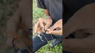 Unique Finger Hook Fishing Challenge 2024videoshortsfishshortsfeed [upl. by Dodd]