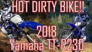 Hot dirty bike 2018 Yamaha TTR230 Top Features and Specs [upl. by Amlas138]