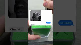 When Travis Scott Needs 800… and Turns Into a Fish 🐟😂 funnytexts funny textstories funnystory [upl. by Kulda]