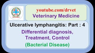 Ulcerative lymphangitis Part 4  Differential diagnosis treatment control [upl. by Dahsraf]