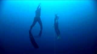 William Trubridge 101m World Record Freedive  Constant Weight No Fins CNF [upl. by Sirmons]