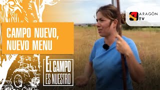 Campo nuevo nuevo menú [upl. by Veronike]