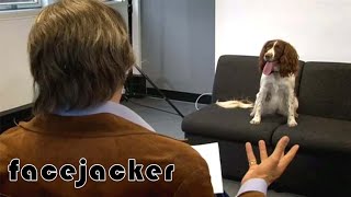 Barking Mad Audition  Facejacker [upl. by Jeffrey]