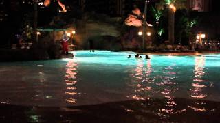 Aulani Disney Resort and Spa at Night [upl. by Lexerd]