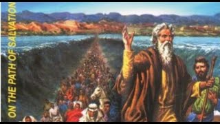 People Who Awaited The Redeemer – In the Promised Land  Catechism Standard 5  Lesson 10 [upl. by Fedora802]