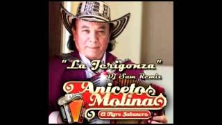 Aniceto Molina  La Jerigonza Remix Dj Sam [upl. by Luar]