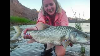 Remote Richtersveld Flyfishing Drifts [upl. by Bodi]