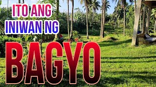 VSM LAKATAN FARM1 UPDATE ANONG NANGYARI KALINGAP RAB VAL SANTOS MATUBANG AUSTRALIANONG KAMBAL [upl. by Trask]