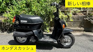 新しい原付 ホンダ スカッシュ ab11 6v 次なる角目はこちら！ [upl. by Areehs]