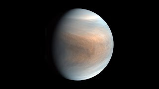 Life on Venus [upl. by Breger437]