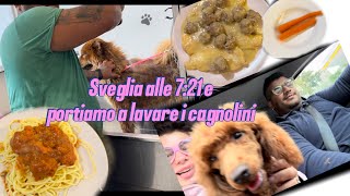 Sveglia alle 721 e i cagnolini a lavare 😍 [upl. by Sivam]