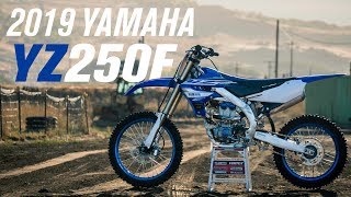 2019 Yamaha YZ250F  First Impressions [upl. by Powers774]