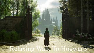 Slow Walk from the Hogwarts Express to Hogwarts Castle  Hogwarts Legacy ambience [upl. by Aikel]