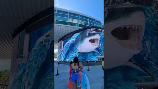 Bahamas 🇧🇸 travel cruise ytshorts [upl. by Audrye]