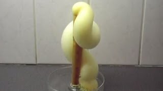 Chemistry experiment 10  Elephants toothpaste [upl. by Brianne]