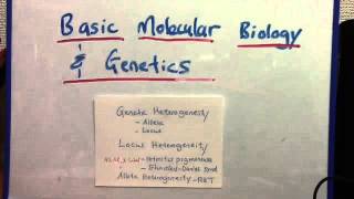 Genetic heterogeneity locus and allelic [upl. by Euqnomod]