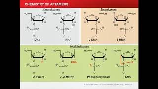 Aptamer imaging [upl. by Sucy621]