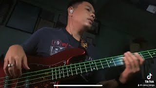 Silvertoes  Parokya ni Edgar  Bass Cover [upl. by Siekram78]