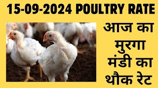 आज का थोक पौल्ट्री रेट  today poultry rateaaj ka murga mandi ka bhav in hindi Today broiler rate [upl. by Aicilec]