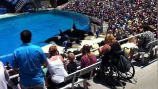 HD Shamu quotKiller Whalequot Show • One Ocean 2012 • SeaWorld San Diego [upl. by Ttreve856]