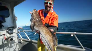 Experience Westport  Charter Fishing for Lingcod [upl. by Miharbi952]