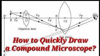 How to Quickly Draw a Compound Microscope  English [upl. by Erialcyram]