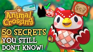 50 SECRETS You STILL Dont Know  Animal Crossing New Horizons [upl. by Asilej]