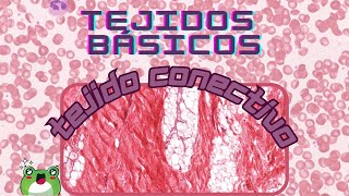 Tejidos Básicos  Conectivo [upl. by Suoirred]