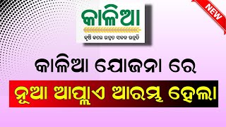 Kalia Yojana New Apply Start  Kalia Yojana New list 2023 Odisha  Kalia Yojana Online Apply [upl. by Yecnahc]