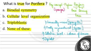 What is true for Porifera a Biradial symmetry b Cellular level organization c Triploblastic [upl. by Eemaj]