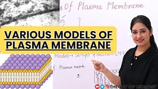 MODELS OF PLASMA MEMBRANE STRUCTURECELL BIOLOGY NEETCLASSXICBSEICSE BOARD [upl. by Richlad599]