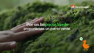 Impacto Verde 15 BancoEstado [upl. by Hathaway]