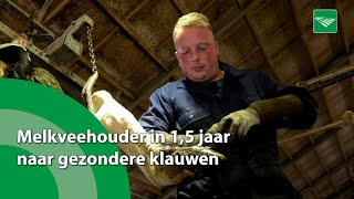 Melkveehouder in 15 jaar naar gezondere klauwen [upl. by Eseuqcaj173]