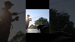 fishing mechaniclife jagdterrier tomos foodlovers doglover trout grill river pecanje [upl. by Dasa96]