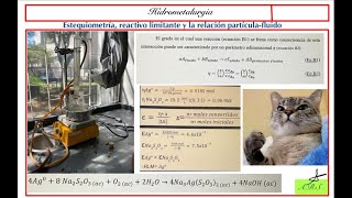 Ecuación estequiométrica del sistema de lixiviación tiosulfatoplata [upl. by Venterea385]