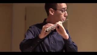 C Reinecke  Flute Concerto in D major Op283 HD [upl. by Nairehs]