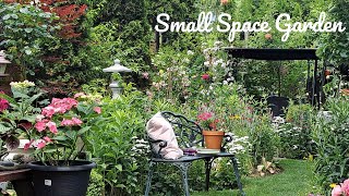 How I Grow Plants In A Small Space  Perennial Flower Tour [upl. by Sakovich]