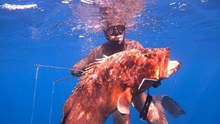 Croatia spearfishing holiday 2024 [upl. by Wehhtam]