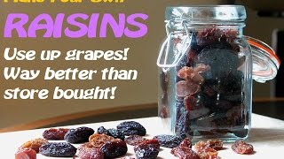 Make Your Own RAISINSNo dehydratorTRY it [upl. by Ameerak397]