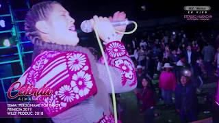 ►CELINDA ALMANACIN ►Perdóname Por Favor  Willy Producciones 2018 [upl. by Egidio]