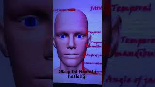 Oksipital nevralji hastalığı [upl. by Killion]