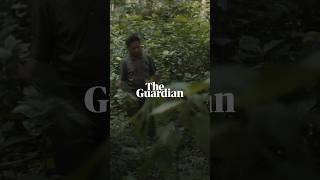 The whistled language of Northern Laos  Birdsong [upl. by Geer907]