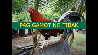 PAG GAMOT NG TIBAK l TUKAAN I BAKBAKAN I ATONG ANG I SABONG I TALPAKAN [upl. by Adriane776]