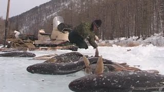 Будет рыба Михалыч Зимняя рыбалка в Прибайкалье [upl. by Sharos]